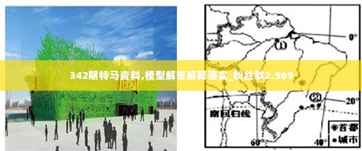 342期特马资料,模型解答解释落实_粉丝款2.969