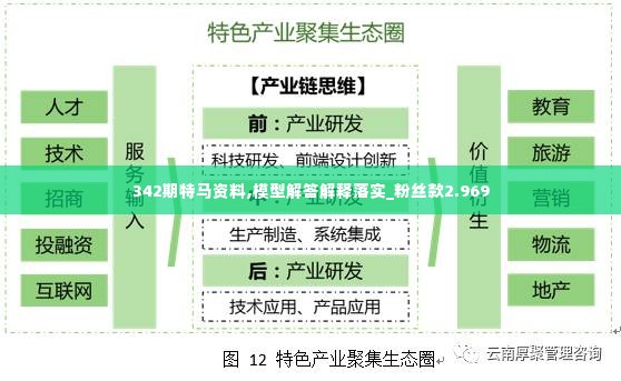 342期特马资料,模型解答解释落实_粉丝款2.969