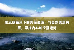 禽流感轻讯下的自然之旅,寻找心灵的宁静港湾