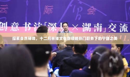 林绪文带你探索十二月自然秘境,领略宁静之美