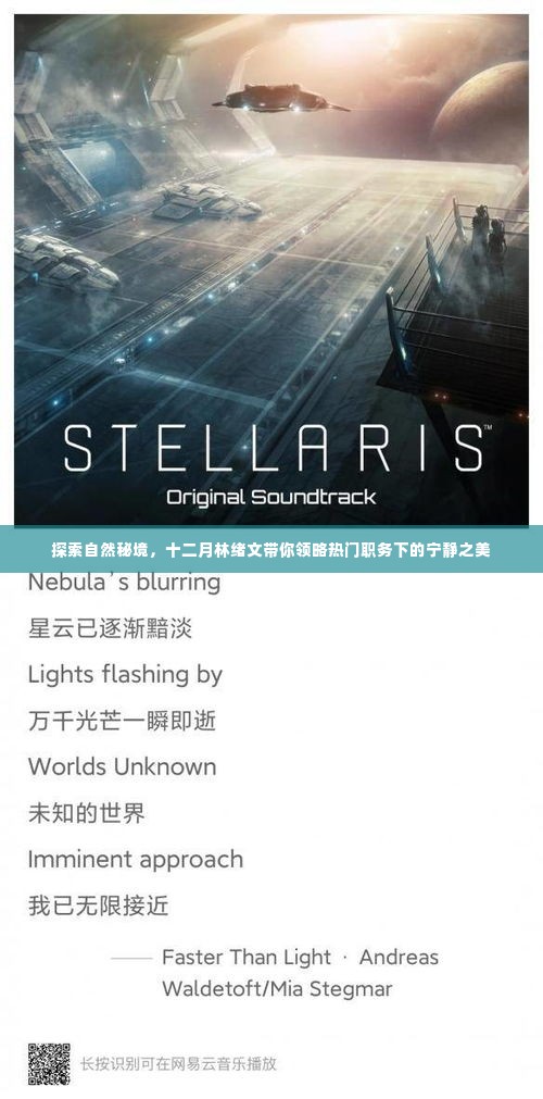 林绪文带你探索十二月自然秘境,领略宁静之美