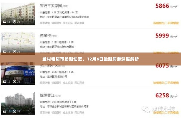 鸟啼花落 第5页