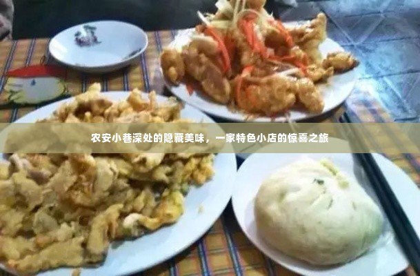 农安小巷深处的特色美食之旅,隐藏美味的惊喜小店