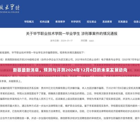 新蔡未来动向预测与评测,2024年12月6日发展展望