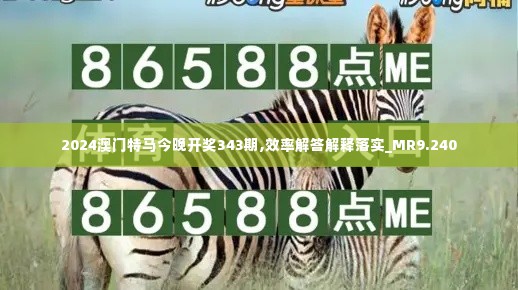 2024澳门特马今晚开奖343期,效率解答解释落实_MR9.240