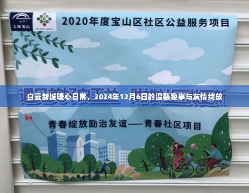 白云新城暖心日常,温馨趣事与友情的绽放 2024年12月6日纪实