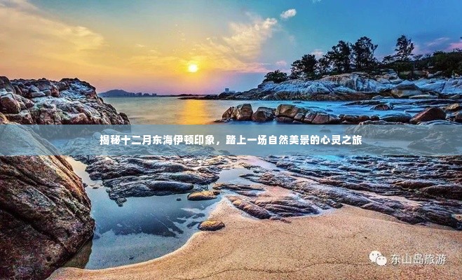 探寻十二月东海伊顿印象,自然美景的心灵之旅