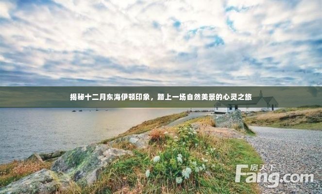 探寻十二月东海伊顿印象,自然美景的心灵之旅