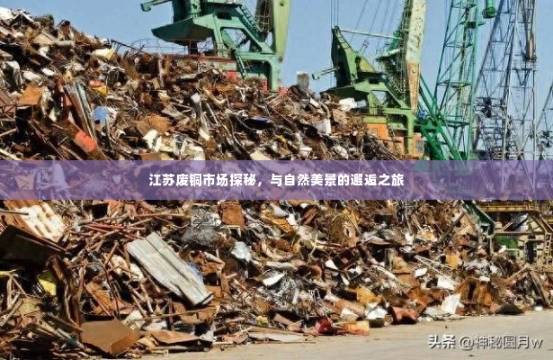 江苏废铜市场深度探访,与自然美景的不期而遇