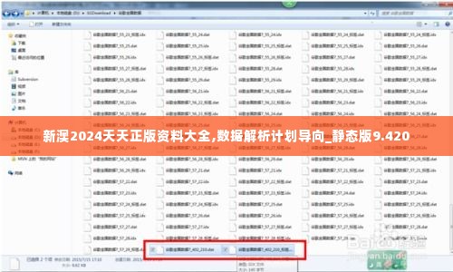 新澳2024天天正版资料大全,数据解析计划导向_静态版9.420