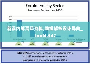 新澳内部高级资料,数据解析设计导向_tool4.547