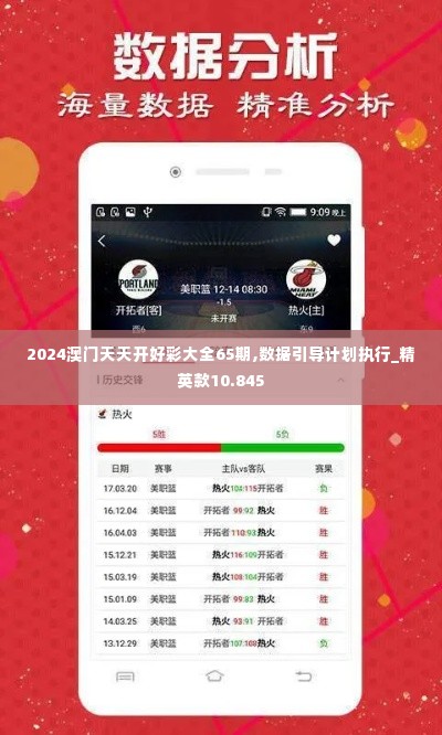 2024澳门天天开好彩大全65期,数据引导计划执行_精英款10.845
