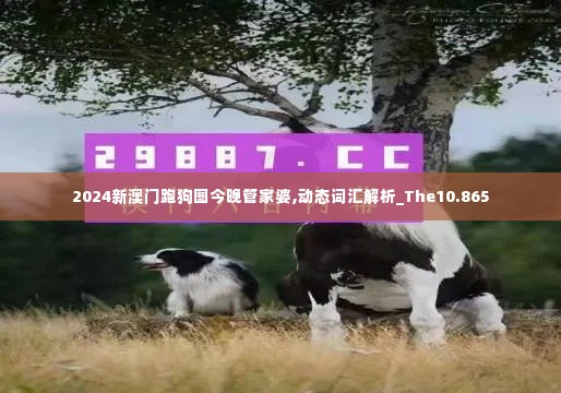 2024新澳门跑狗图今晚管家婆,动态词汇解析_The10.865