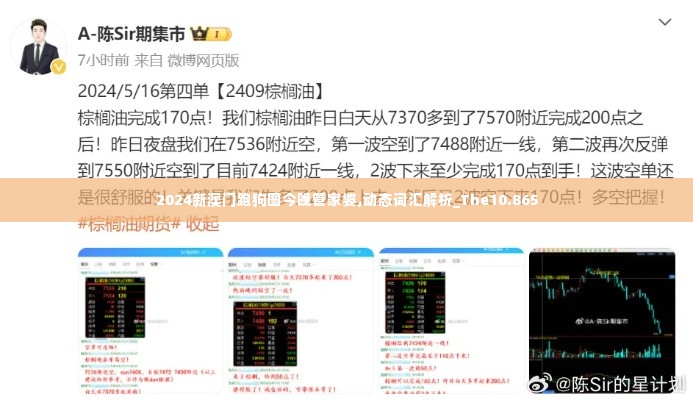 2024新澳门跑狗图今晚管家婆,动态词汇解析_The10.865