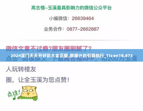 2024澳门天天开好彩大全正版,数据计划引导执行_Tizen18.473