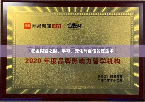 钯金炼金术,学习、变化与自信的辉煌之旅