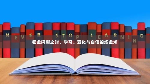 钯金炼金术,学习、变化与自信的辉煌之旅