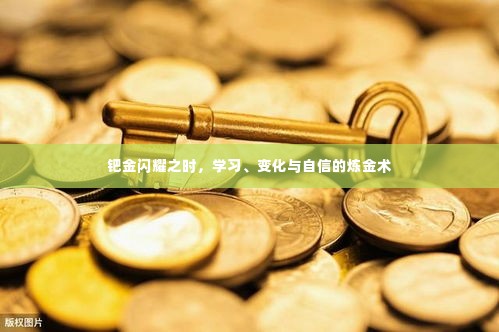 钯金炼金术,学习、变化与自信的辉煌之旅