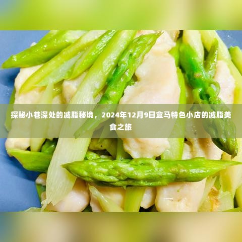 探秘小巷深处的减脂秘境,盒马特色小店的减脂美食之旅(2024年12月9日)