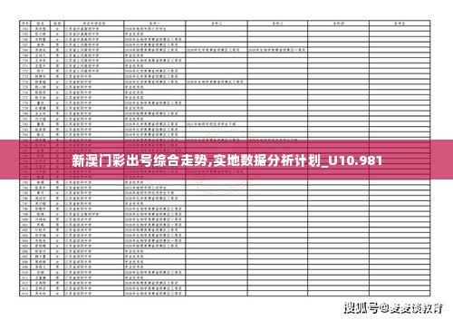 新澳门彩出号综合走势,实地数据分析计划_U10.981