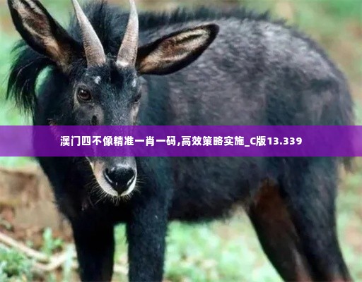 澳门四不像精准一肖一码,高效策略实施_C版13.339