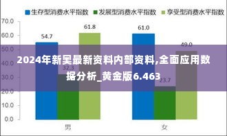 2024年新奥最新资料内部资料,全面应用数据分析_黄金版6.463