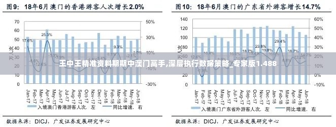 王中王精准资料期期中澳门高手,深层执行数据策略_专家版1.488