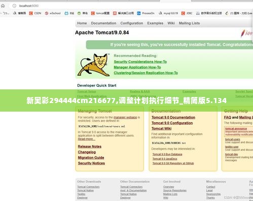 新奥彩294444cm216677,调整计划执行细节_精简版5.134