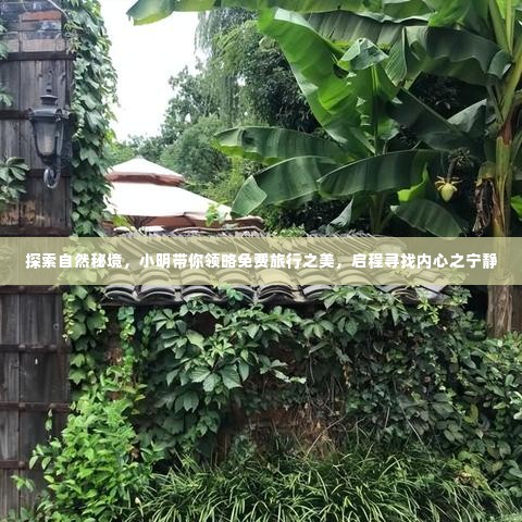小明带你免费探索自然秘境,领略旅行之美,寻找内心宁静之旅