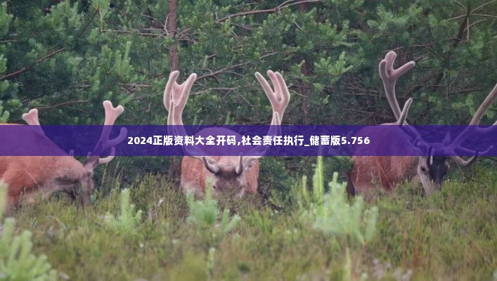 2024正版资料大全开码,社会责任执行_储蓄版5.756