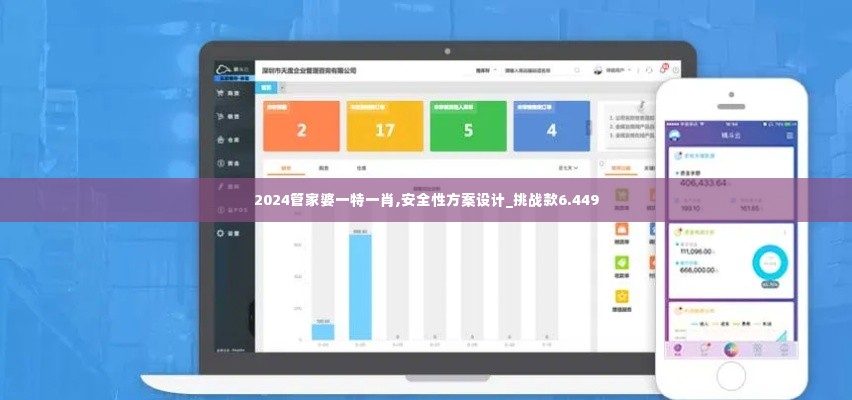 2024管家婆一特一肖,安全性方案设计_挑战款6.449