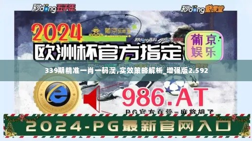 339期精准一肖一码澳,实效策略解析_增强版2.592