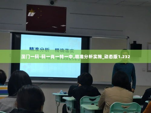 澳门一码-码一肖一特一中,精准分析实施_动态版1.232