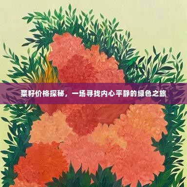 菜籽价格探秘,绿色之旅的心灵之旅