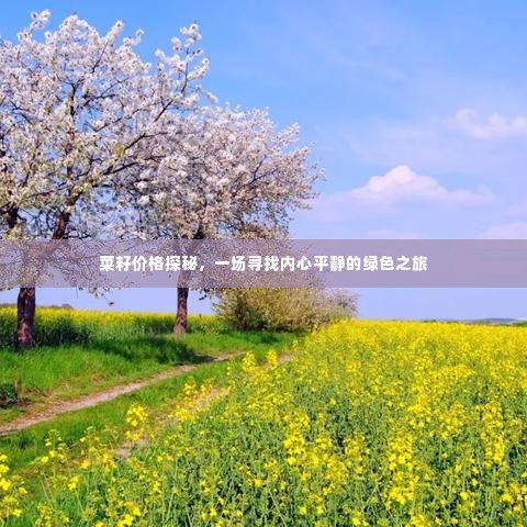 菜籽价格探秘,绿色之旅的心灵之旅