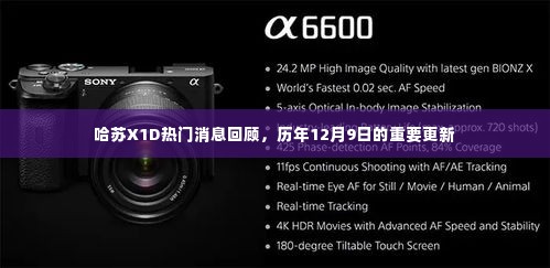 斗志昂扬 第4页