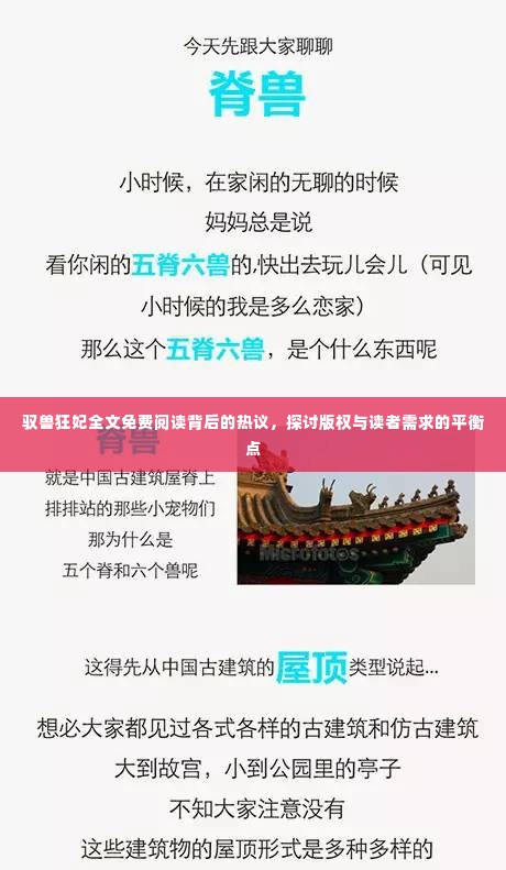驭兽狂妃免费阅读背后的热议,版权与读者需求的平衡点探讨