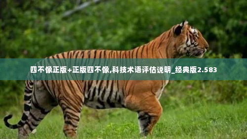 四不像正版+正版四不像,科技术语评估说明_经典版2.583