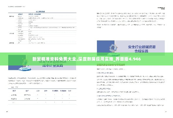 新奥精准资料免费大全,深度数据应用实施_界面版4.946