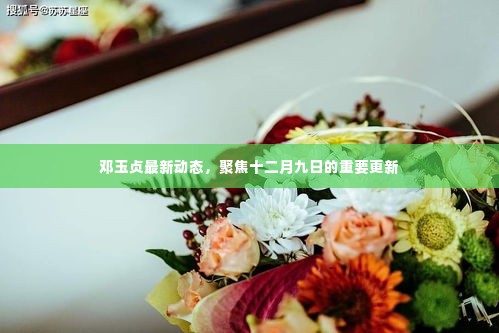 邓玉贞最新动态,十二月九日重磅更新聚焦