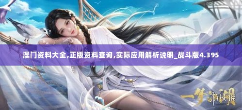 澳门资料大全,正版资料查询,实际应用解析说明_战斗版4.395