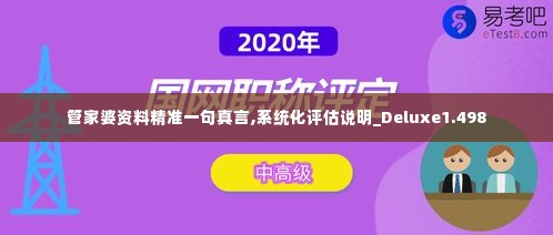 管家婆资料精准一句真言,系统化评估说明_Deluxe1.498