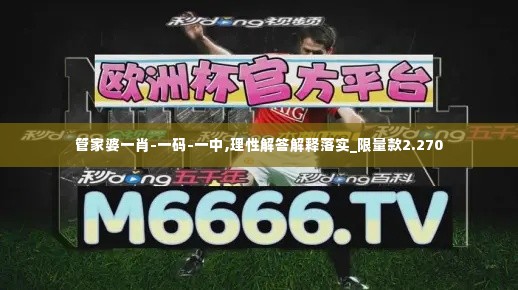 管家婆一肖-一码-一中,理性解答解释落实_限量款2.270