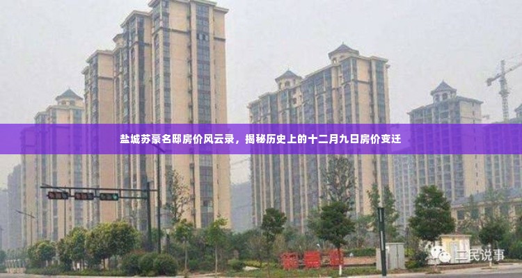 盐城苏豪名邸房价风云录,揭秘历史上的十二月九日房价变迁