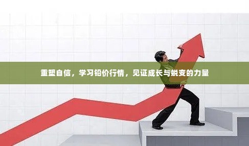 重塑自信,见证铅价行情中的成长与蜕变力量