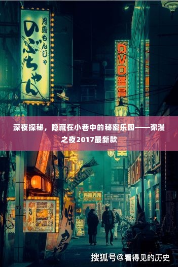 深夜探秘,隐藏在小巷中的秘密乐园——弥漫之夜2017最新款