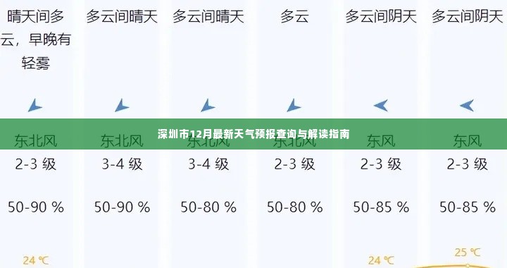 深圳市12月天气预报查询及解读指南