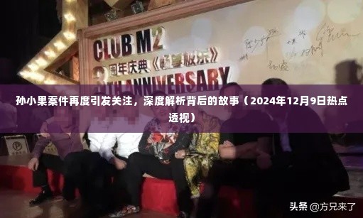 孙小果案件再度引发关注,深度解析背后的故事(2024年12月9日热点透视)