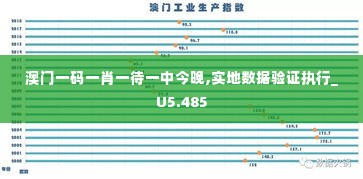 澳门一码一肖一待一中今晚,实地数据验证执行_U5.485
