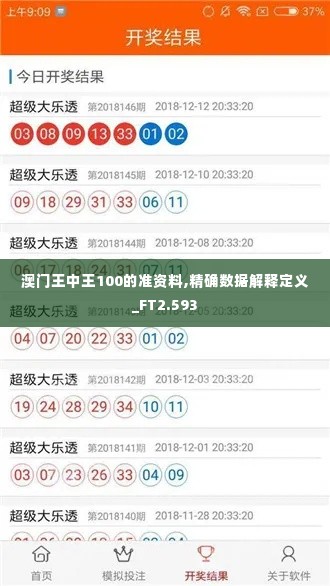 澳门王中王100的准资料,精确数据解释定义_FT2.593
